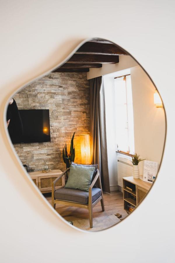Le Grenette - Appartement Pour 2 A 4 Personnes En Plein Coeur D'Annecy Exterior photo